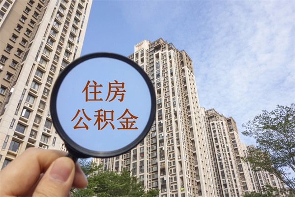 神农架个人公积金去哪儿取（住房公积金个人到哪里提取）